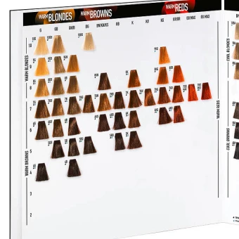 Goldwell Farbkarte 4 Goldwell Farbkarte - Image 2