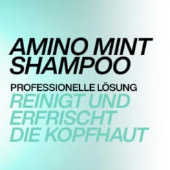 Redken Amino-mint Shampoo 300 Ml 10 Redken Amino-mint Shampoo 300 Ml -Davines Kosmetik Geschaft 2527332 Redken amino mint Shampoo 300 ml.51132399